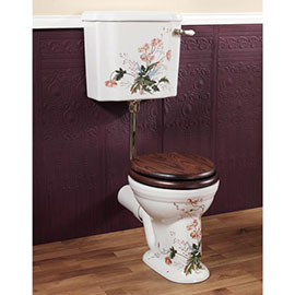 Low Level Toilet