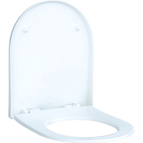 Geberit Acanto Toilet Seat and Cover