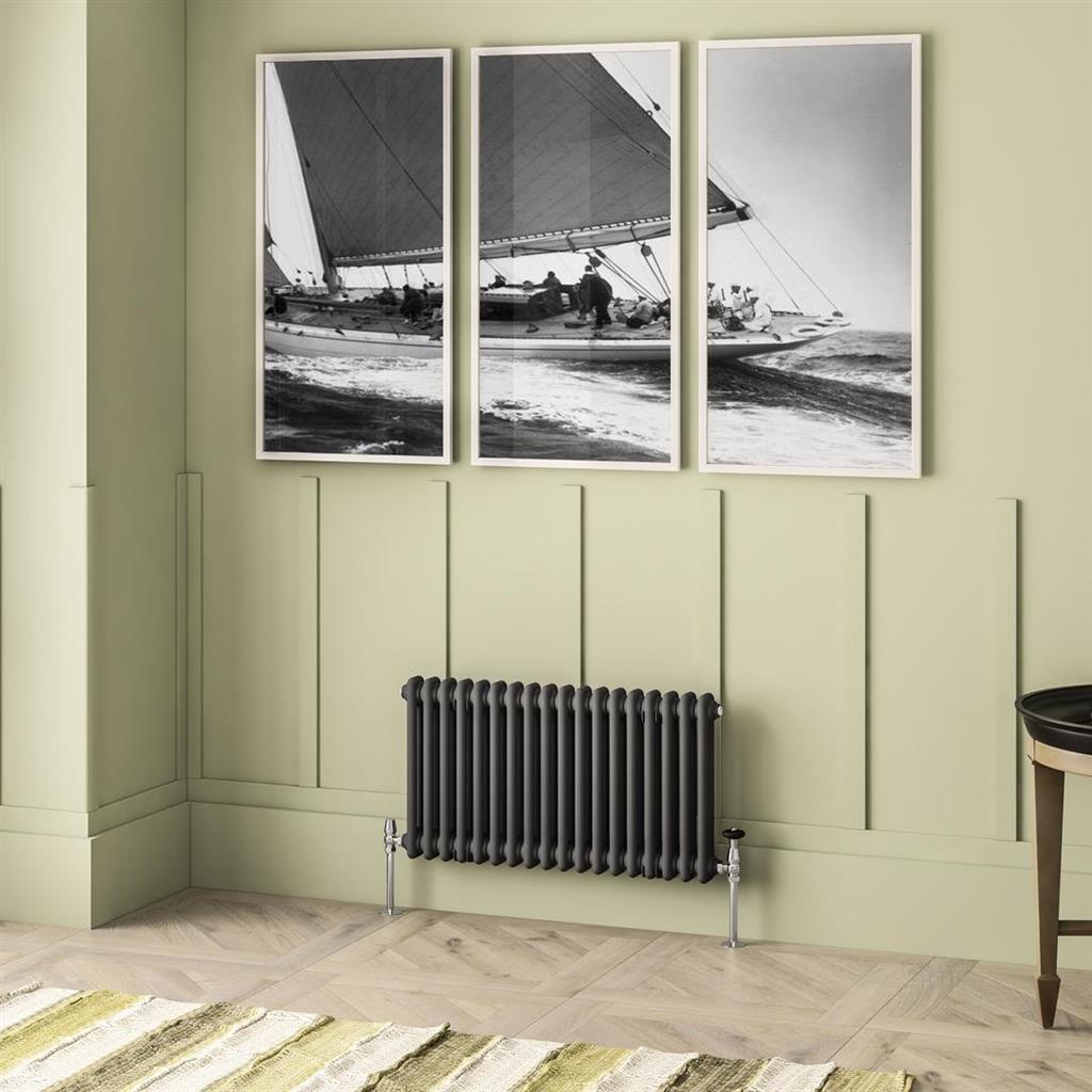 Imperia 2 Column Radiator 450 x 830mm Matt Anthracite