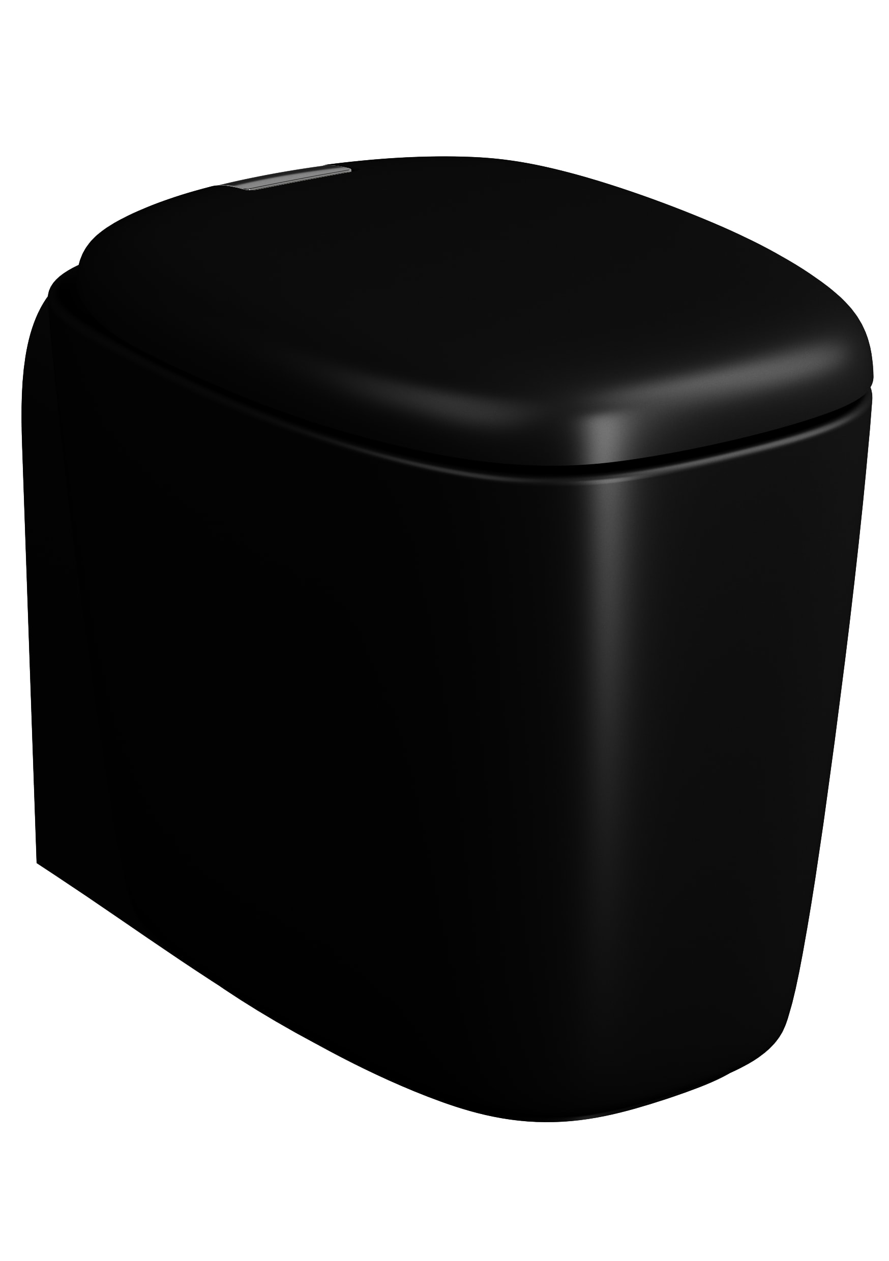 Plural Rim-ex Floor-Standing WC - Matt Black