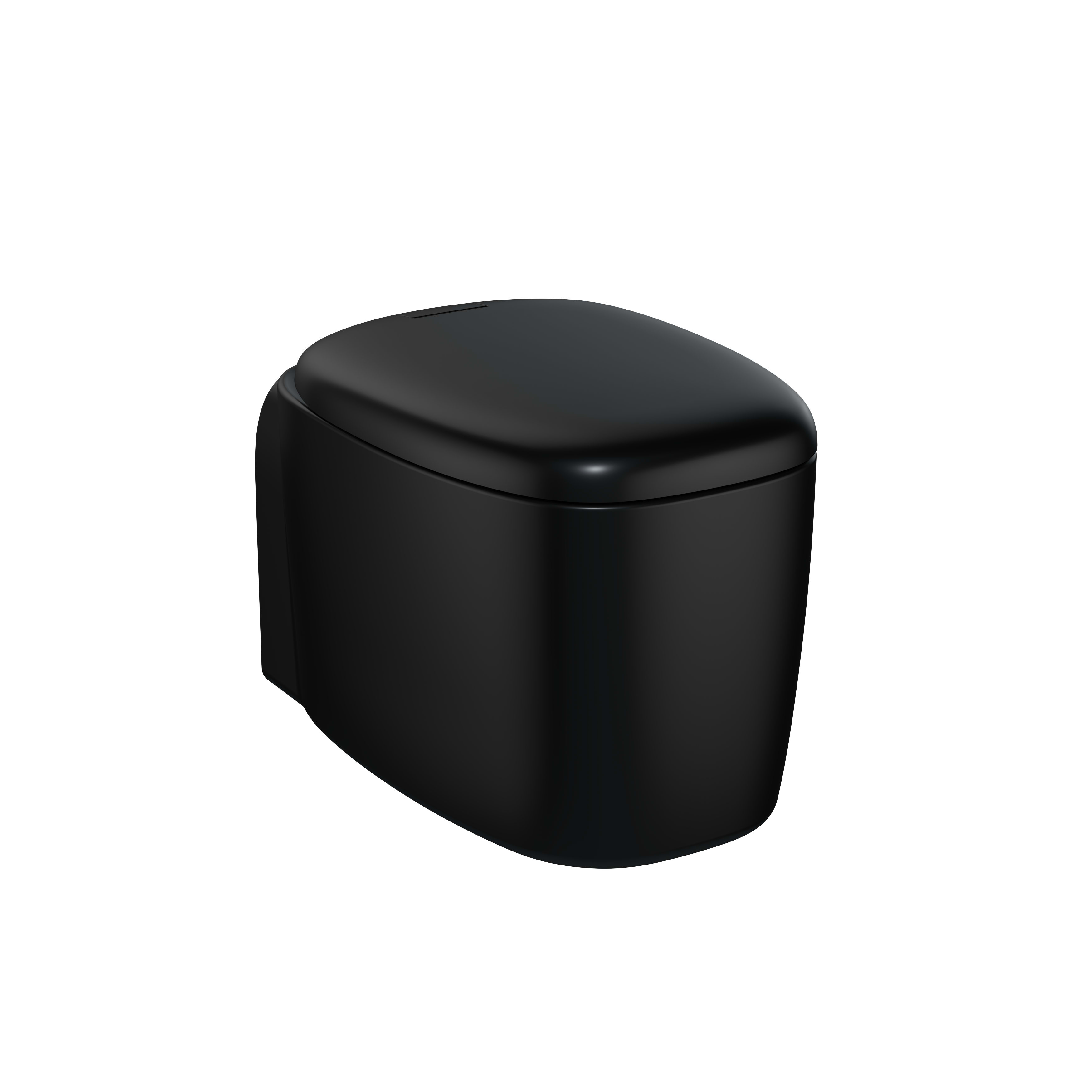 Plural Rim-ex Wall-Hung WC - Matt Black
