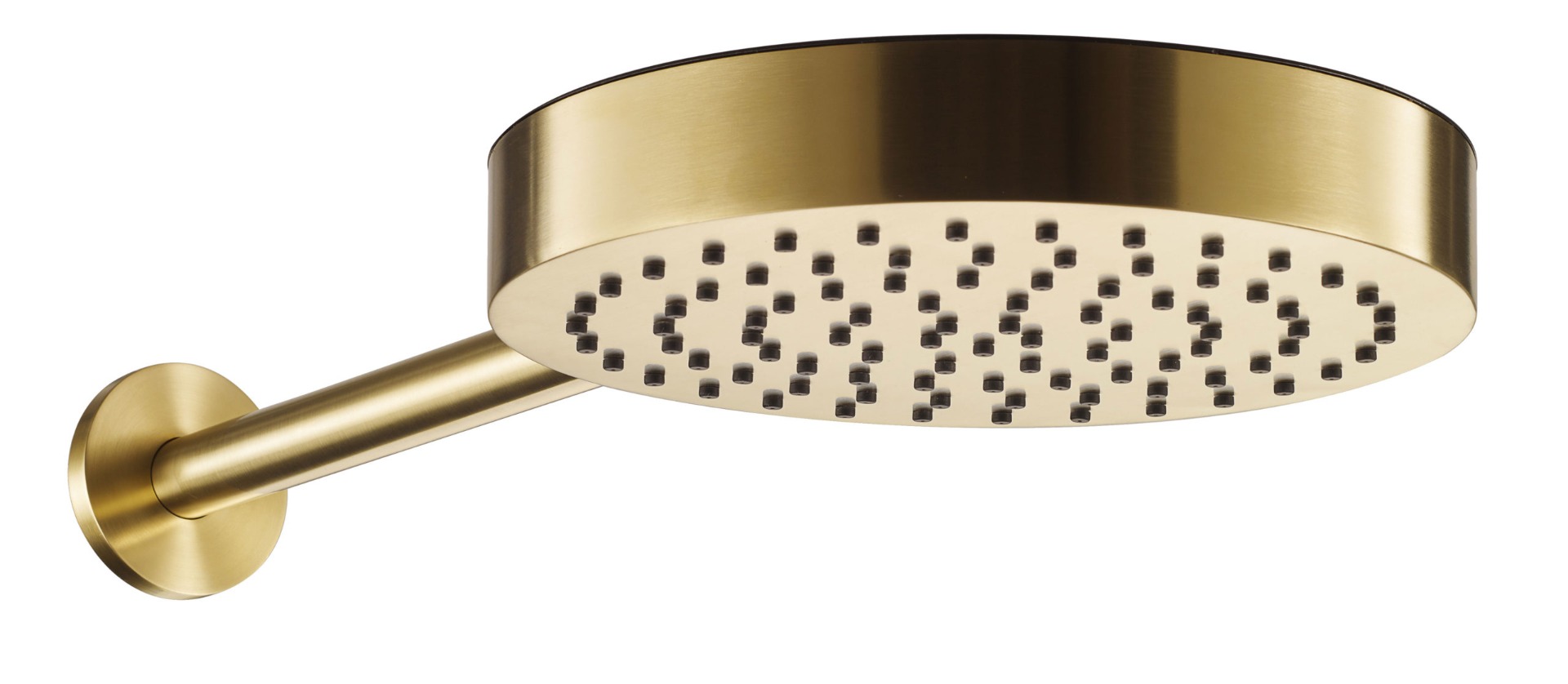 Shower head and arm - JTP
