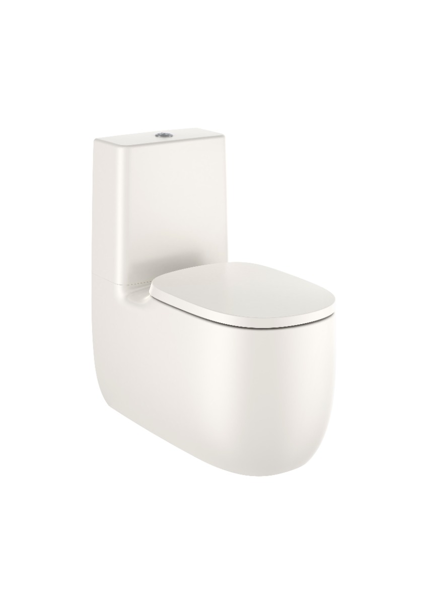 Back To Wall Vitreous China Close-Coupled Rimless WC With Dual Outlet
