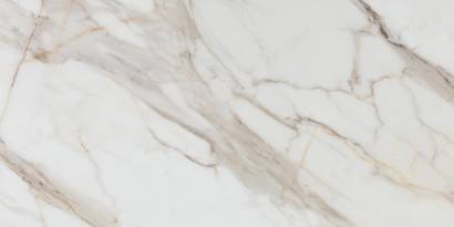 Calacatta Gold White Matt 60x120 - price per m2