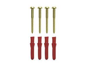 Digital Shower Concealed Mounting Plate Screw pack (x4)