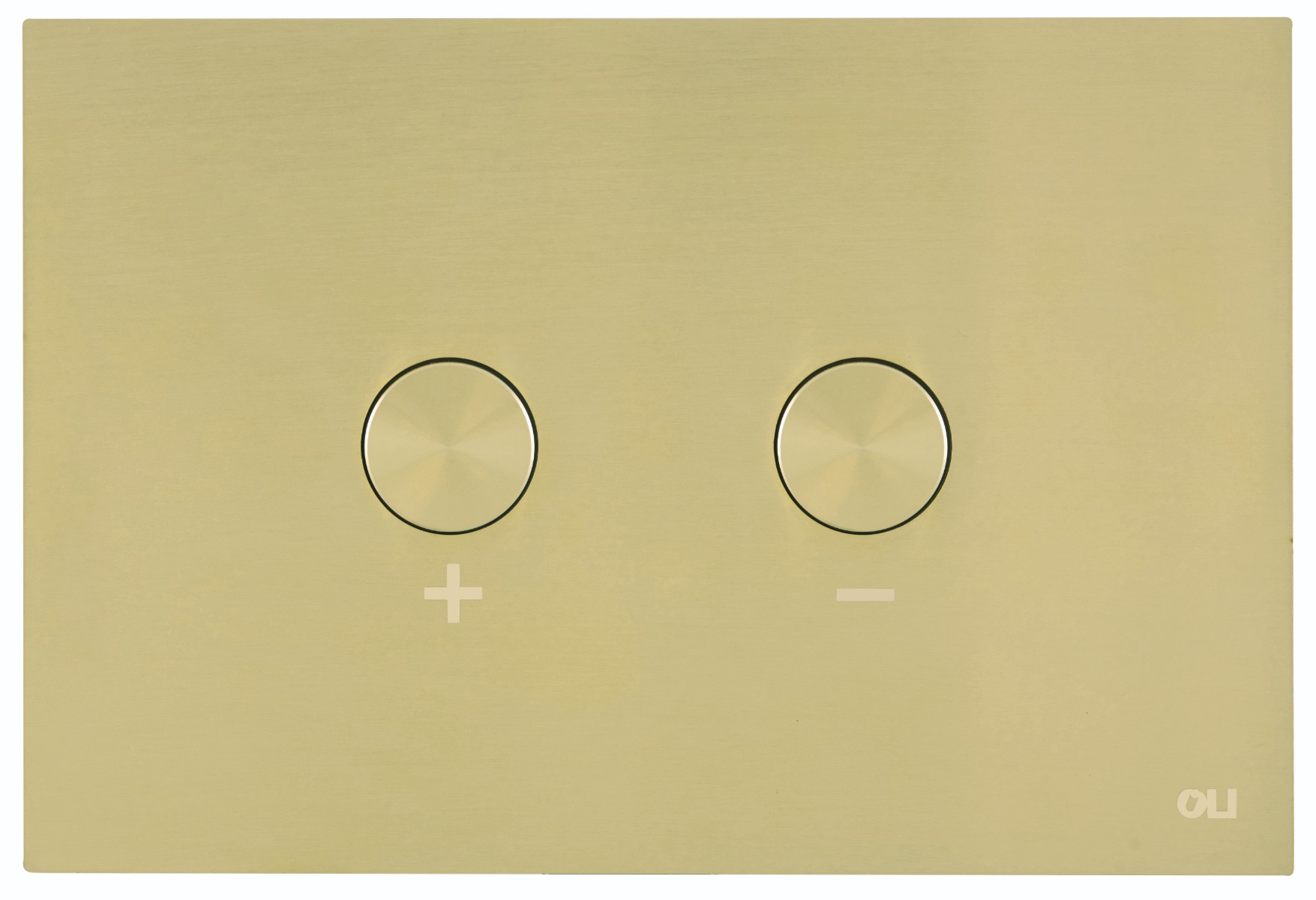 JTP - Brushed Brass Metal Pneumatic Flush Plate 2