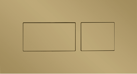 Dual Flush plate-Brushed Brass