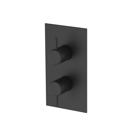 Hoxton shower mixer with diverter Matt Black