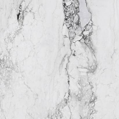 Medicea Marble White Matt 120x120 cm - price per m2