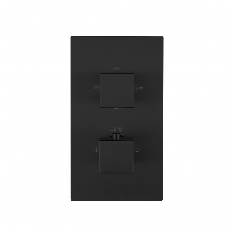Square twin handle thermostatic shower valve (Vertical), 2-outlet Matt Black (STV2-MB)