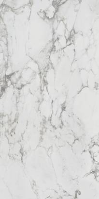 Tech-Marble Supreme White Honed 60x120 cm- price per m2