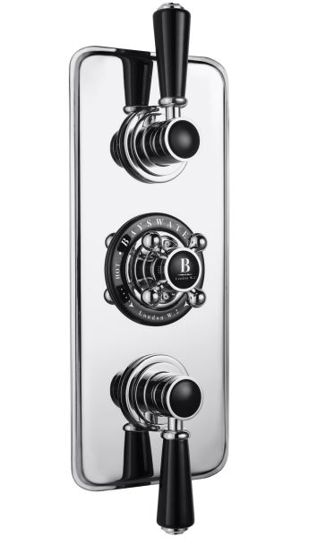 TWO OUTLET CONCEALED VALVE BAYS403